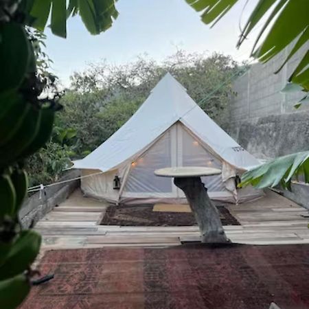 Hotel Yurt In Avocado Garden Güimar Esterno foto