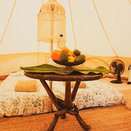 Hotel Yurt In Avocado Garden Güimar Esterno foto