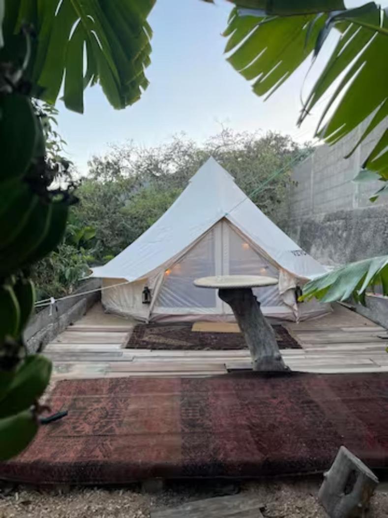 Hotel Yurt In Avocado Garden Güimar Esterno foto