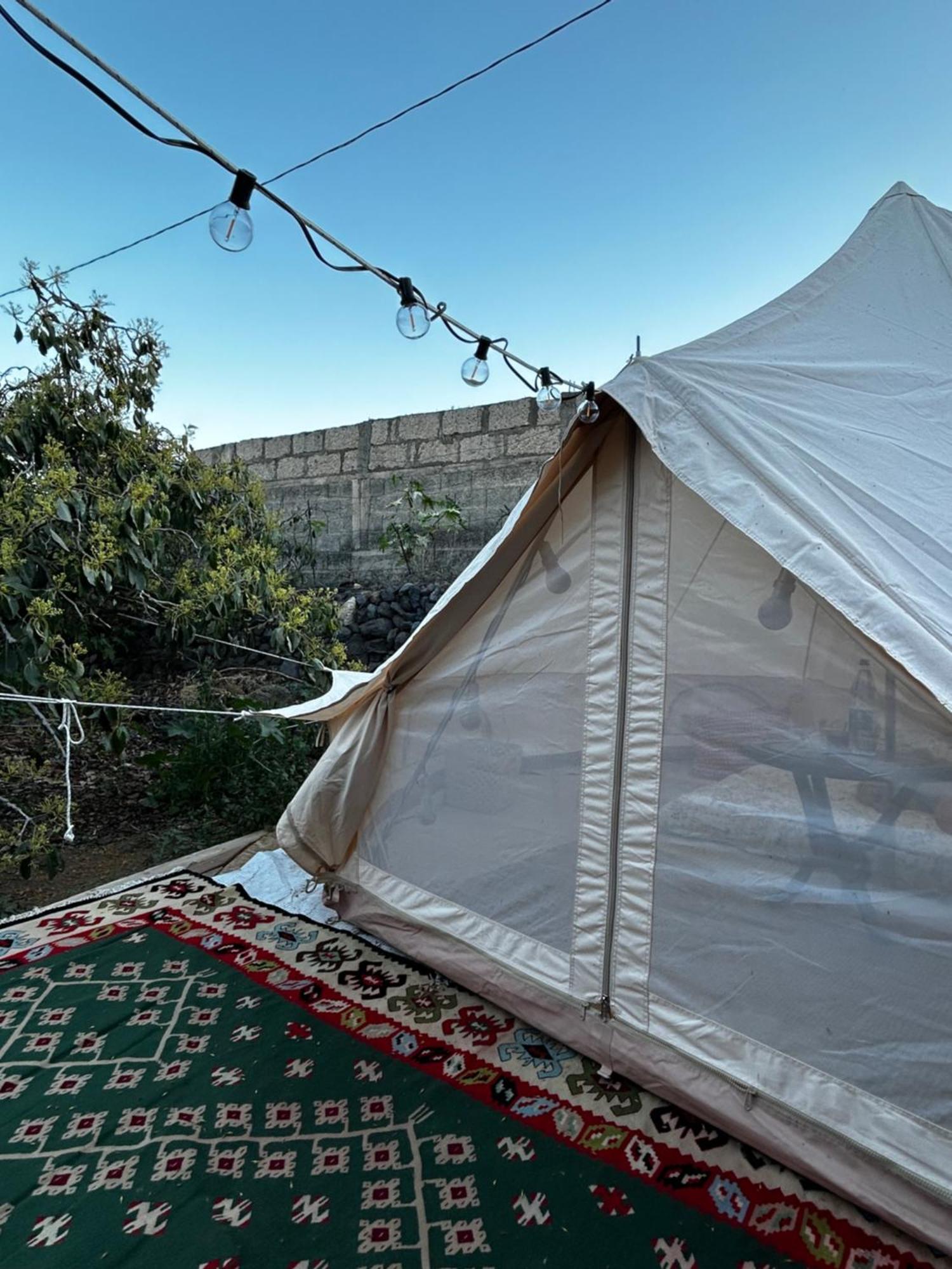 Hotel Yurt In Avocado Garden Güimar Esterno foto