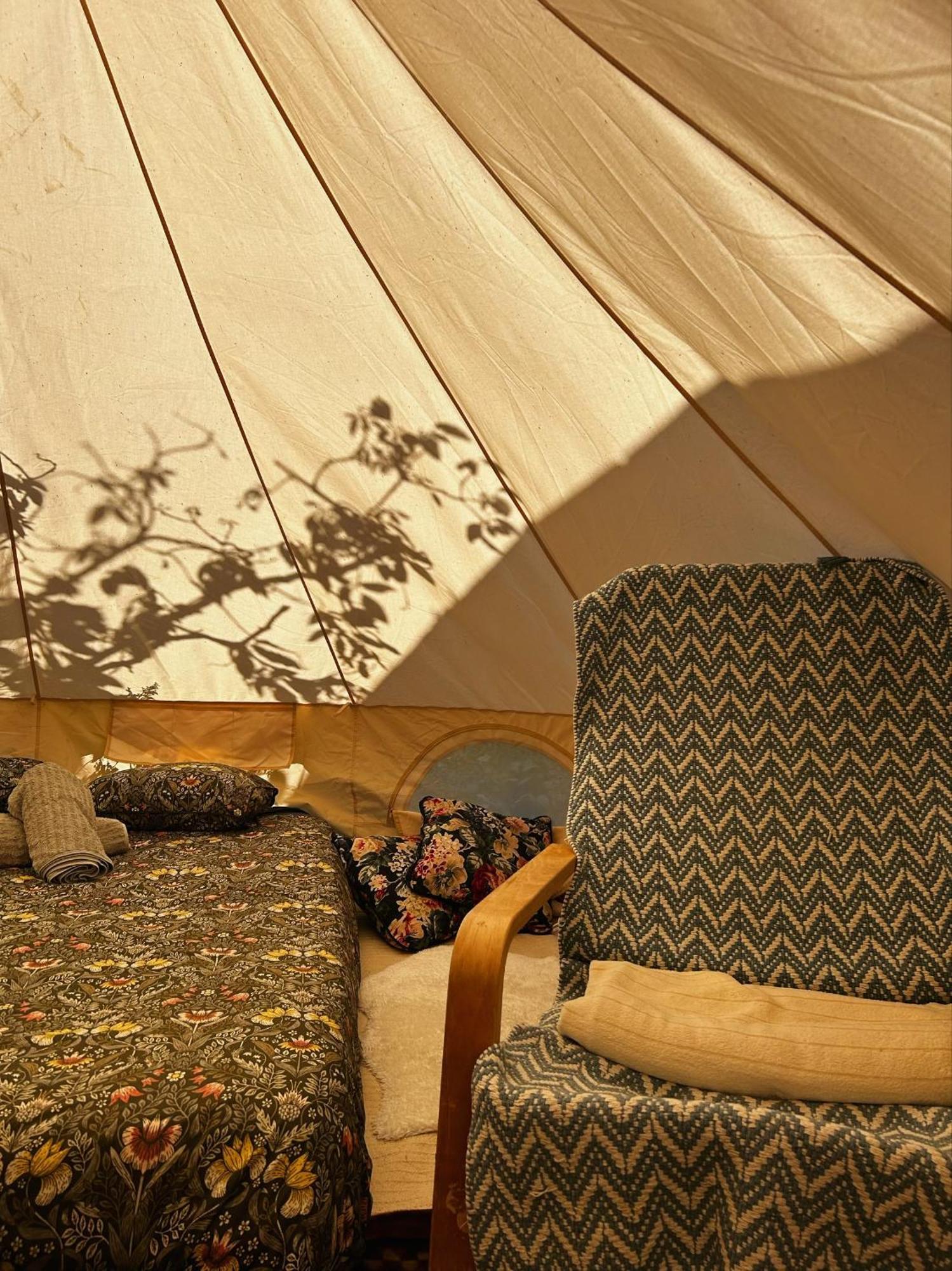 Hotel Yurt In Avocado Garden Güimar Esterno foto