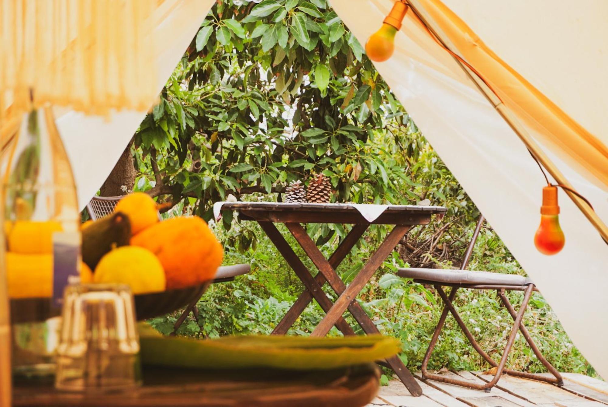Hotel Yurt In Avocado Garden Güimar Esterno foto