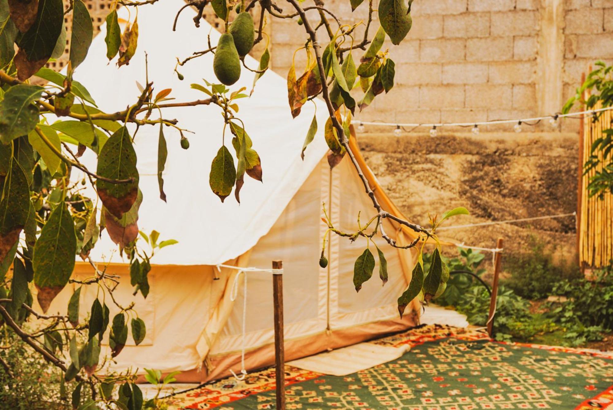 Hotel Yurt In Avocado Garden Güimar Esterno foto